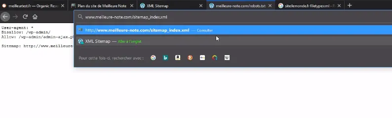 Sitemap XML affiché dans le navigateur