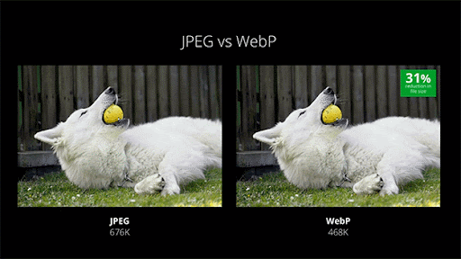 WebP vs JPG : Quel format choisir et pourquoi ?